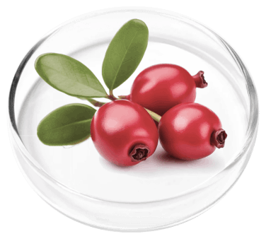 FemiCore Ingredient2