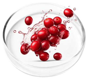 FemiCore Ingredient3