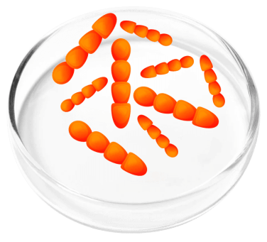 FemiCore Ingredient5