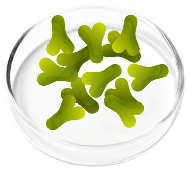 FemiCore Ingredient6
