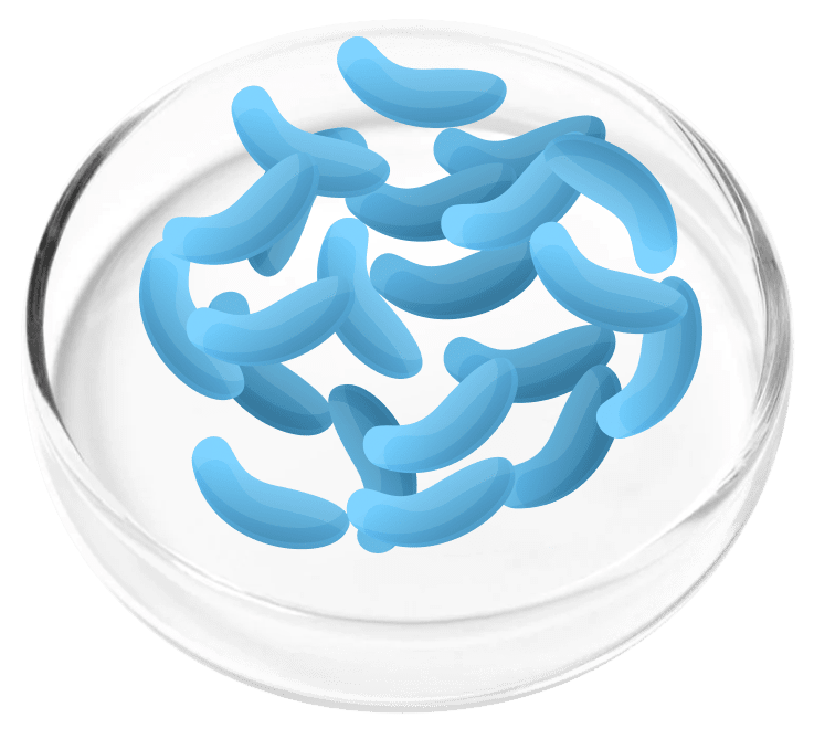 FemiCore Ingredient8