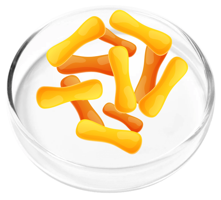 FemiCore Ingredient9